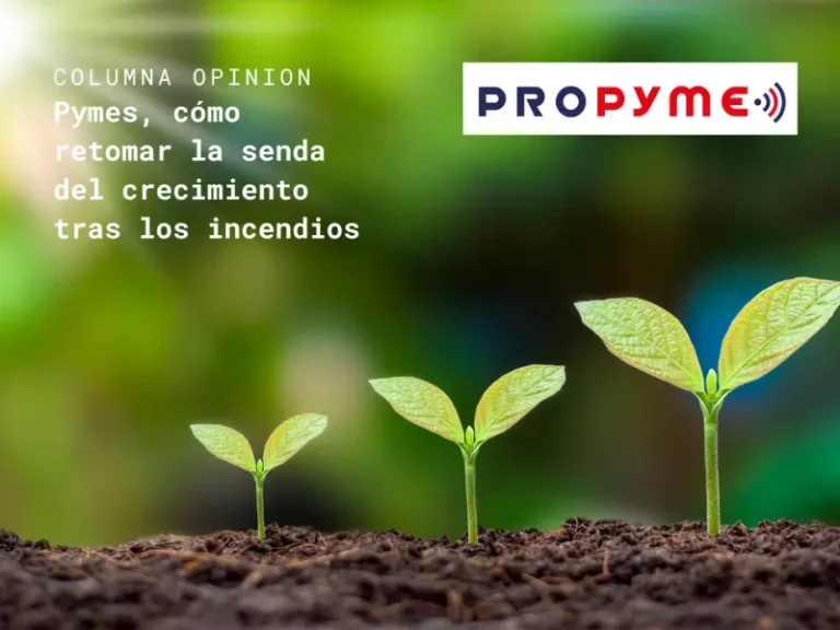 Pymes, cómo retomar la senda del crecimiento tras los incendios, en Propyme